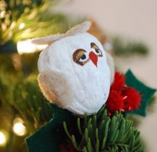 Käsityöt pähkinäkuorista: valokuvaesimerkkejä ja video -ohjeita