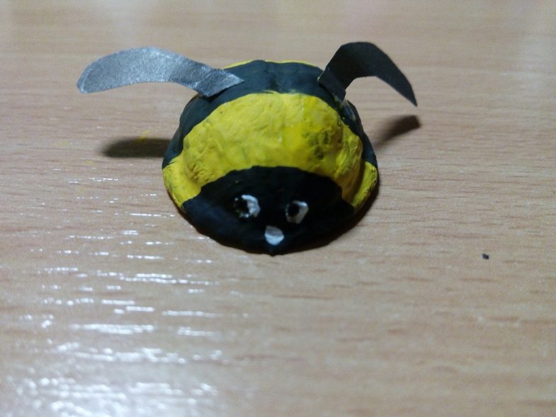 Käsityöt pähkinäkuorista: valokuvaesimerkkejä ja video -ohjeita