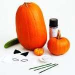 Πρώτον, πρέπει να προετοιμάσετε τα λαχανικά σας για χρήση. Αυτές οι κολοκύθες που θα χρησιμοποιηθούν για τη δημιουργία της ουράς, του σώματος και των ποδιών πρέπει να πλυθούν καλά και να σκουπιστούν από την υπόλοιπη υγρασία. Προετοιμασία της κολοκύθας για το ρύγχος. Πρέπει επίσης να ξεπλυθεί καλά και να κοπεί η κορυφή. Αφαιρέστε την εσωτερική σάρκα.