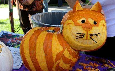 Χειροτεχνία από λαχανικά. Φτιάξτε μόνοι σας μαύρη γάτα από κολοκύθα