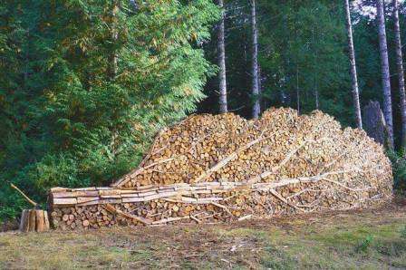 Nyt voit aloittaa puupalojen valmistuksen.