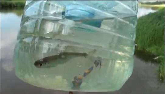 DIY rybárske remeslá