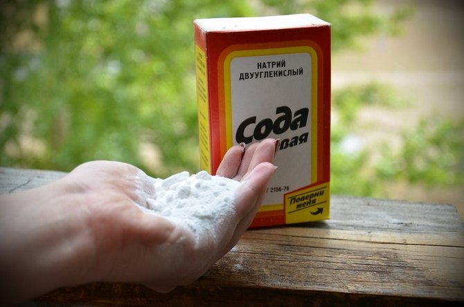 Βοηθοί κηπουρού από ένα κανονικό παντοπωλείο