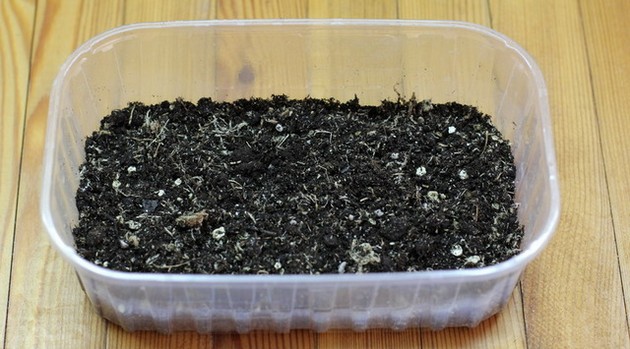 من الأفضل عدم استخدام الأرض العادية