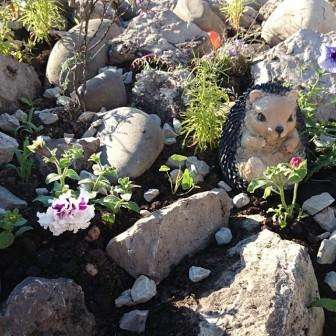 On tärkeää tietää, että rockeries voivat rakenteeltaan olla staattisia