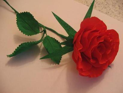 افعل ذلك بنفسك الورود الورقية المموجة خطوة بخطوة
