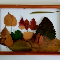 Mestarikurssi lehtien levityksestä 