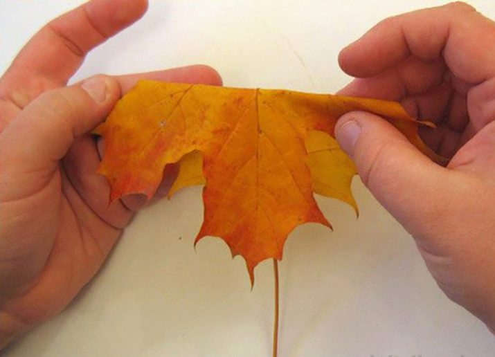 Tee-se-itse-vaahteranlehti ruusuja askel askeleelta valokuvalla aloittelijoille