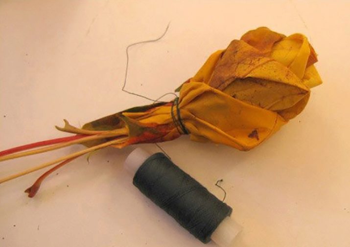 Tee-se-itse-vaahteranlehti ruusuja askel askeleelta valokuvalla aloittelijoille