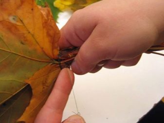 Tee-se-itse-vaahteranlehti ruusuja askel askeleelta valokuvalla aloittelijoille