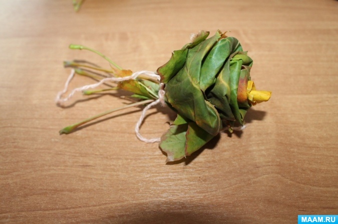 Tee-se-itse-vaahteranlehti ruusuja askel askeleelta valokuvalla aloittelijoille