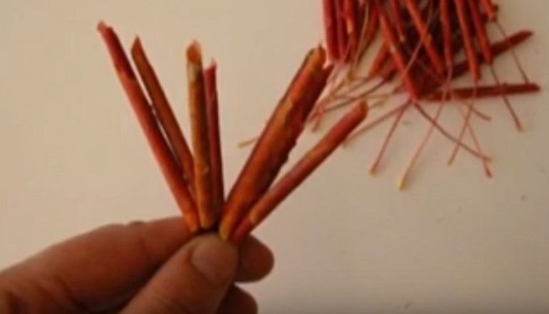 Flagella eri väreistä