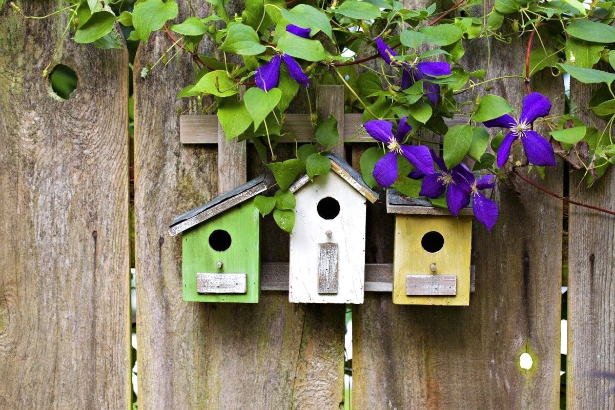 For at lave en gør-det-selv-føder er andenrangs tømmer også egnet.