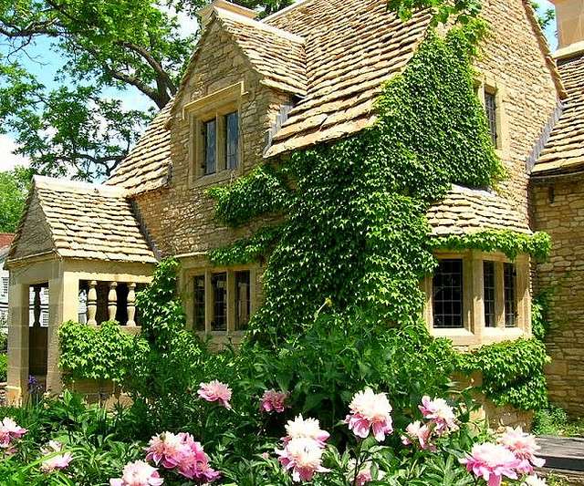 kiipeilykasvit monivuotisille huvimajoille valokuvilla ja nimillä