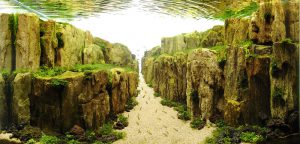 Kotitekoiset akvaariot-kaikkien saatavilla: tee-se-itse-akvaario kotona: kuinka tehdä lasia, kuinka liimata, video