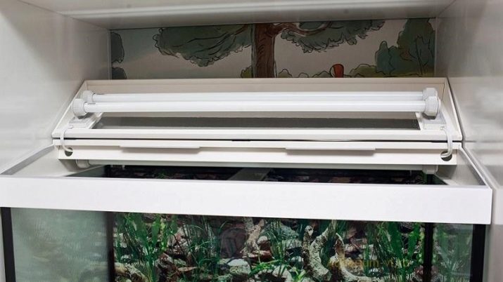 Kotitekoiset akvaariot-kaikkien saatavilla: tee-se-itse-akvaario kotona: kuinka tehdä lasia, kuinka liimata, video