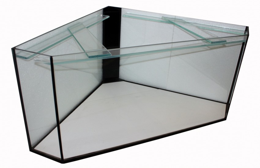 Kotitekoiset akvaariot-kaikkien saatavilla: tee-se-itse-akvaario kotona: kuinka tehdä lasia, kuinka liimata, video