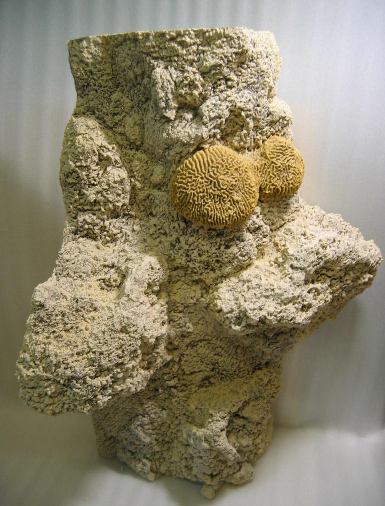 Kotitekoinen akvaarion sisustus