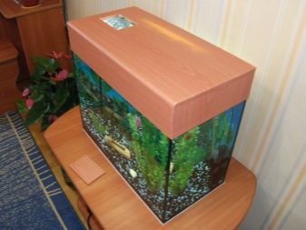 Kotitekoiset akvaariot-kaikkien saatavilla: tee-se-itse-akvaario kotona: kuinka tehdä lasia, kuinka liimata, video