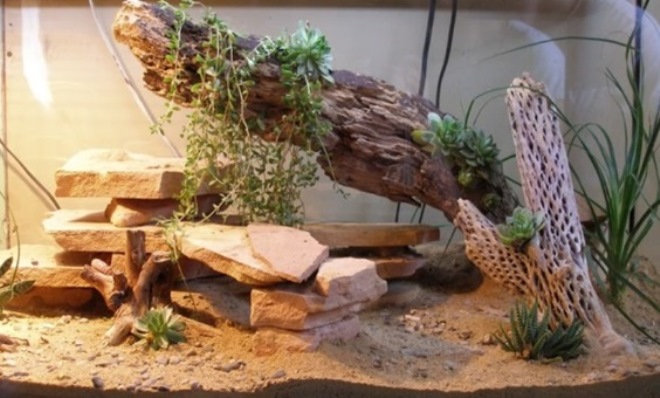 DIY akvaario koristeet