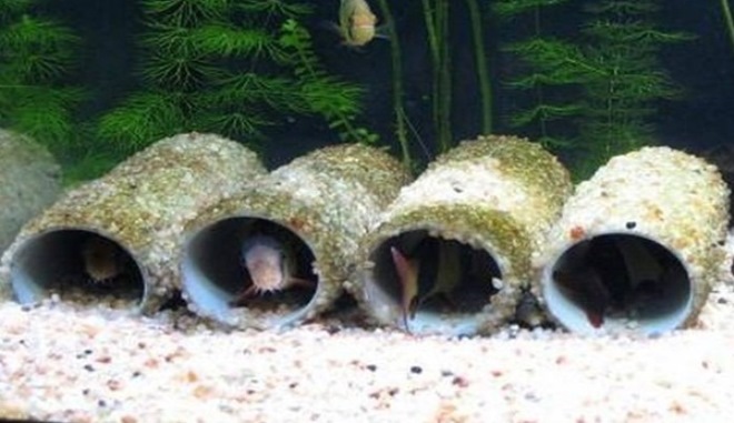 DIY akvaario koristeet