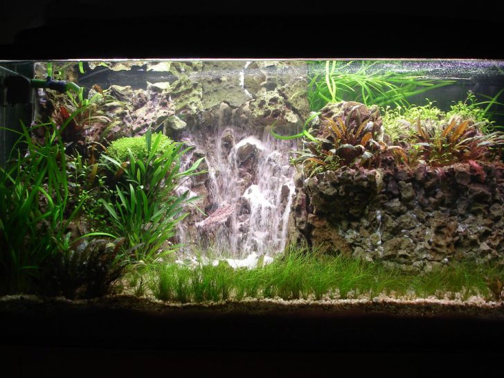 DIY akvaarion koristelu