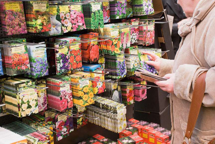 kuinka valita laadukkaita siemeniä