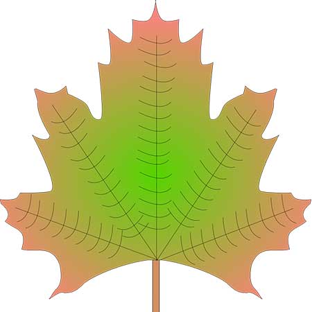 Kuinka piirtää vaahteranlehti