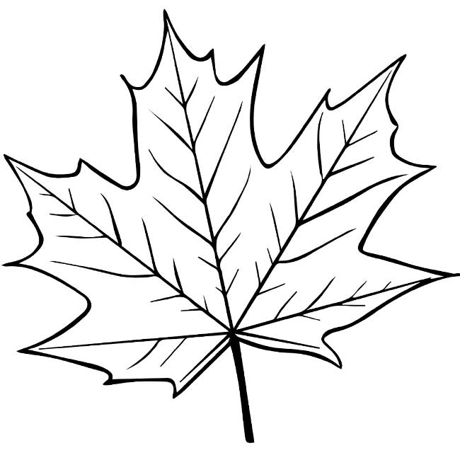 Syksyn lehdet: kuvia, malleja, kaavaimia