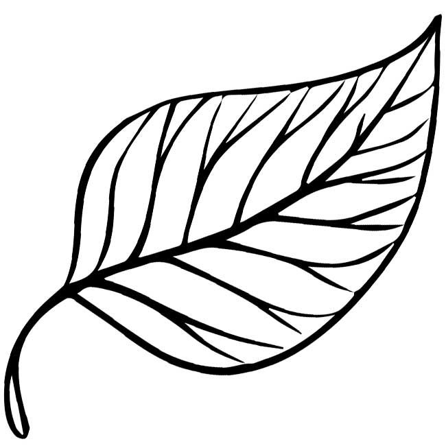 Syksyn lehdet: kuvia, malleja, kaavaimia