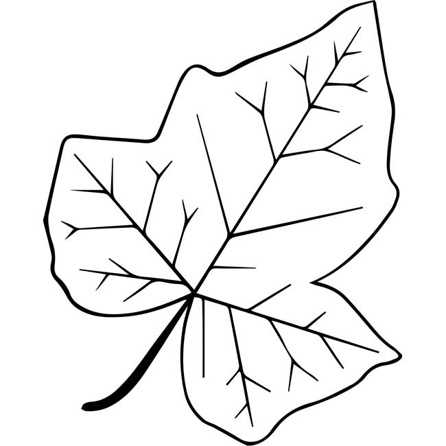 Syksyn lehdet: kuvia, malleja, kaavaimia