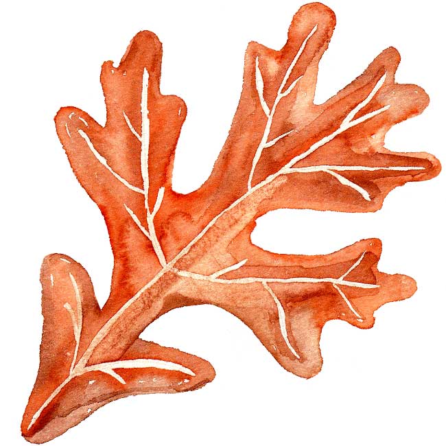 Syksyn lehdet: kuvia, malleja, kaavaimia