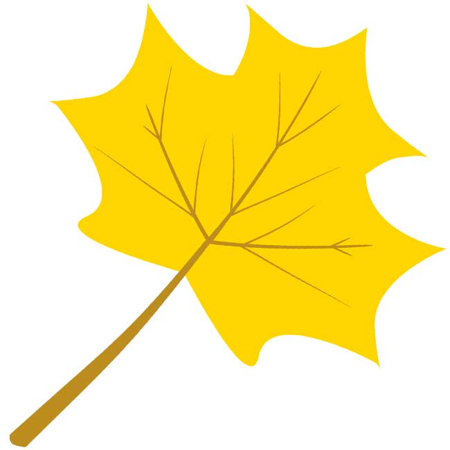 Syksyn lehdet: kuvia, malleja, kaavaimia