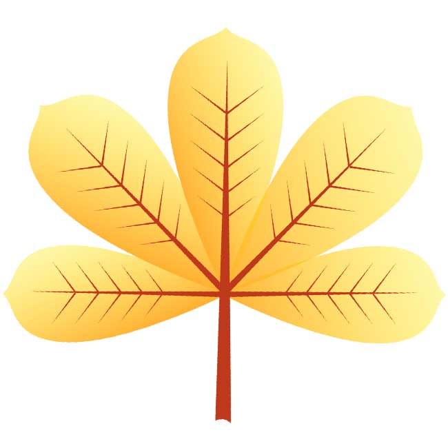 Syksyn lehdet: kuvia, malleja, kaavaimia