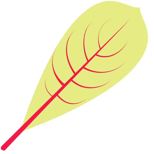 Syksyn lehdet: kuvia, malleja, kaavaimia