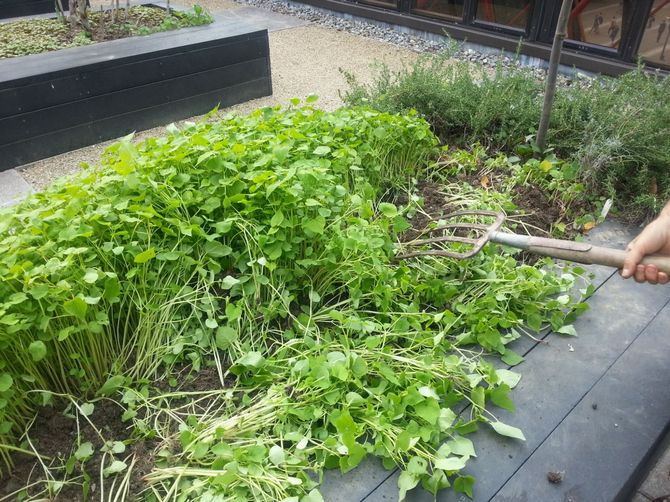 قواعد التحيز الناجحة