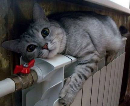 Princippet for drift af et etrørs varmesystem: ledningsdiagrammer og beregninger trin-for-trin installationsvejledning