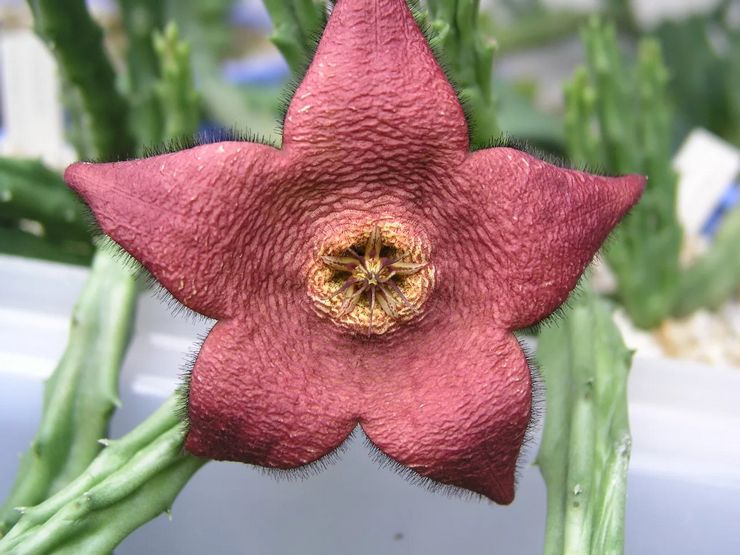 وصف المنحدر