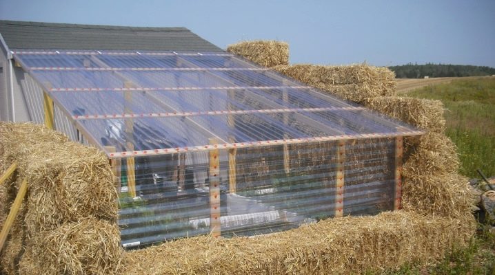 ترمس الدفيئة