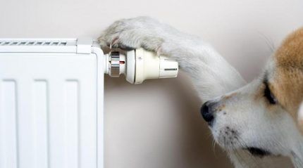 Diaľková senzorová hlava