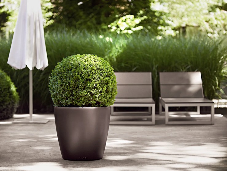 Ruukku tujan istuttamiseen