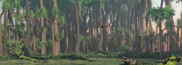 الحرارة النوعية لاحتراق الوقود: الفحم ، الحطب ، الغاز