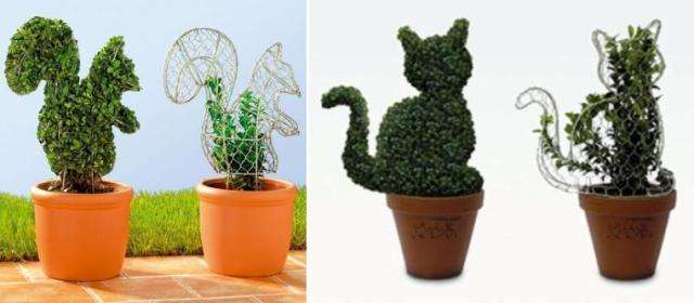 أرقام البلد في الأواني