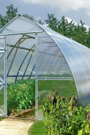 Подсилени оранжерии: какво осигурява здравина?