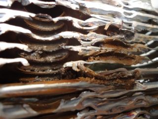 Η συσκευή και η αρχή λειτουργίας ενός λέβητα αερίου διπλού κυκλώματος