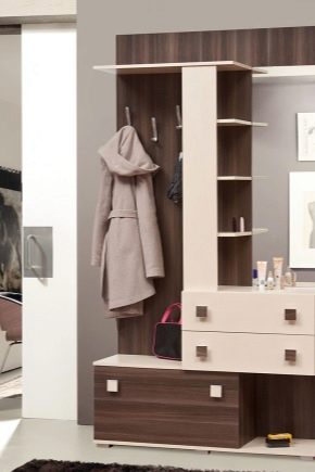 خزانة ملابس ضيقة في الردهة