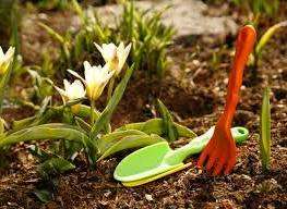 Kevään työt maassa maaliskuussa Dacha: mitä tarvitset kevään töiden aloittamiseen