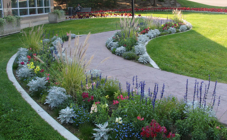 Kasveja rajoille aurinkoisella alueella