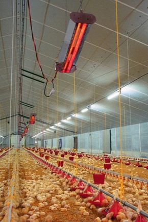 أنواع سخانات الأشعة تحت الحمراء للبيوت البلاستيكية