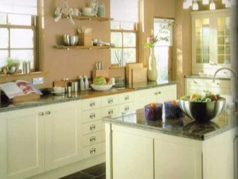 Liesituuletin: lajikkeet, edut ja haitat